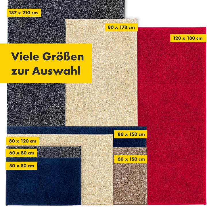 Floordirekt Schmutzfangmatte NASA, Dunkelblau - 60 x 150 cm Fussmatte, Türmatte für Eingangsbereich