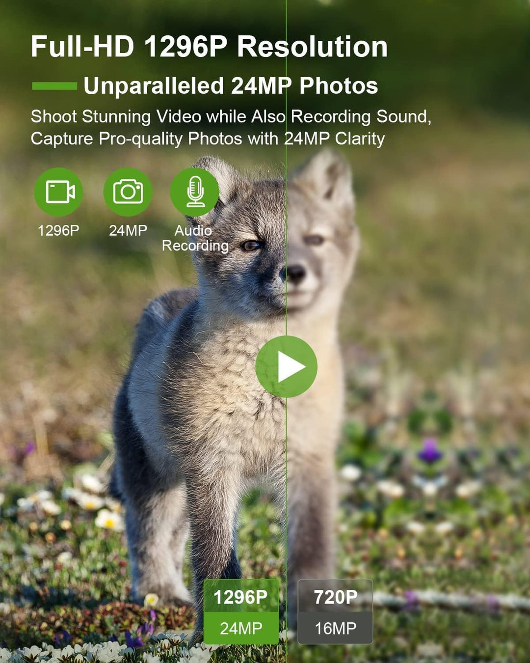 Wildkamera WLAN mit Handyübertragung App 24MP/1296P, WiFi Bluetooth Wildtierkamera mit Nachtsicht Be