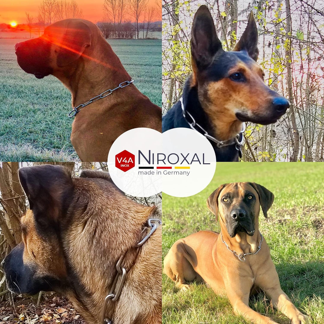 rostfreie Kombikette für Hunde - das ORIGINAL mit Zugstop - Edelstahl Hundekette Ketten Halsband kur