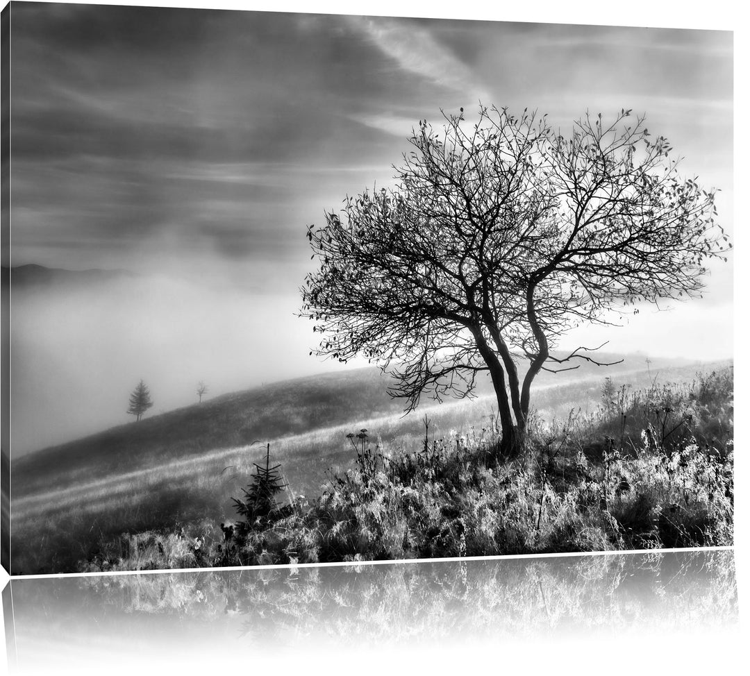 Pixxprint Monocrome, Baum im hohen Gras schwarz weiss, Format: 100x70 auf Leinwand, XXL riesige Bild