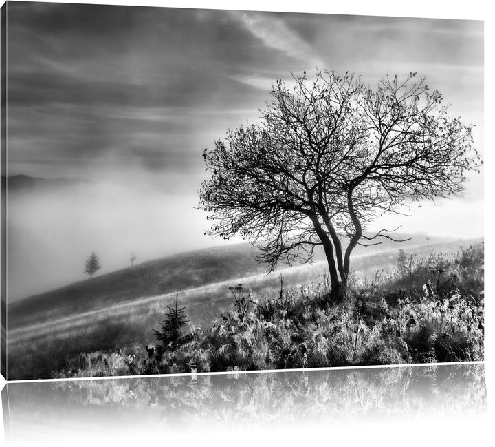 Pixxprint Monocrome, Baum im hohen Gras schwarz weiss, Format: 100x70 auf Leinwand, XXL riesige Bild