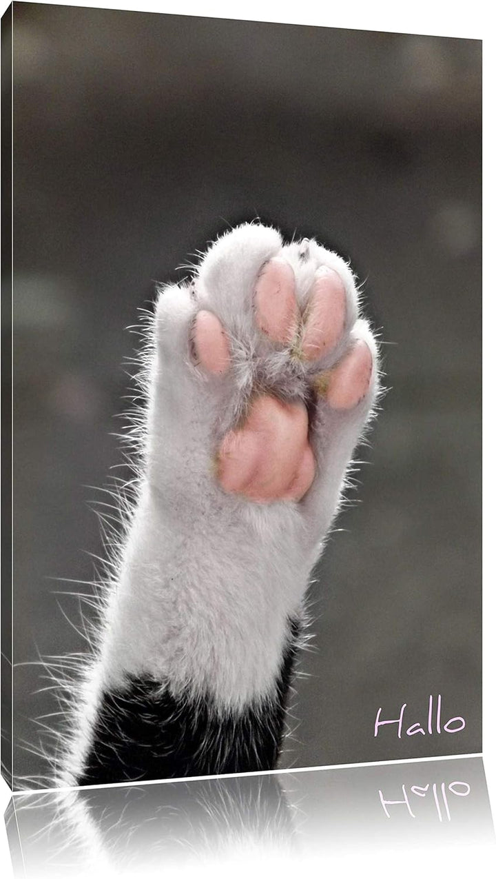 Pixxprint kleine Katzenpfote auf Leinwand, XXL riesige Bilder fertig gerahmt mit Keilrahmen, Kunstdr