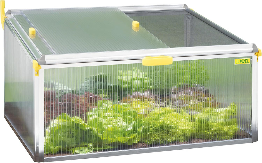 Juwel Frühbeet Biostar Protect 1000 (Gewächshaus mit Schädlingsnetz gegen Gemüsefliegen / Starkegen