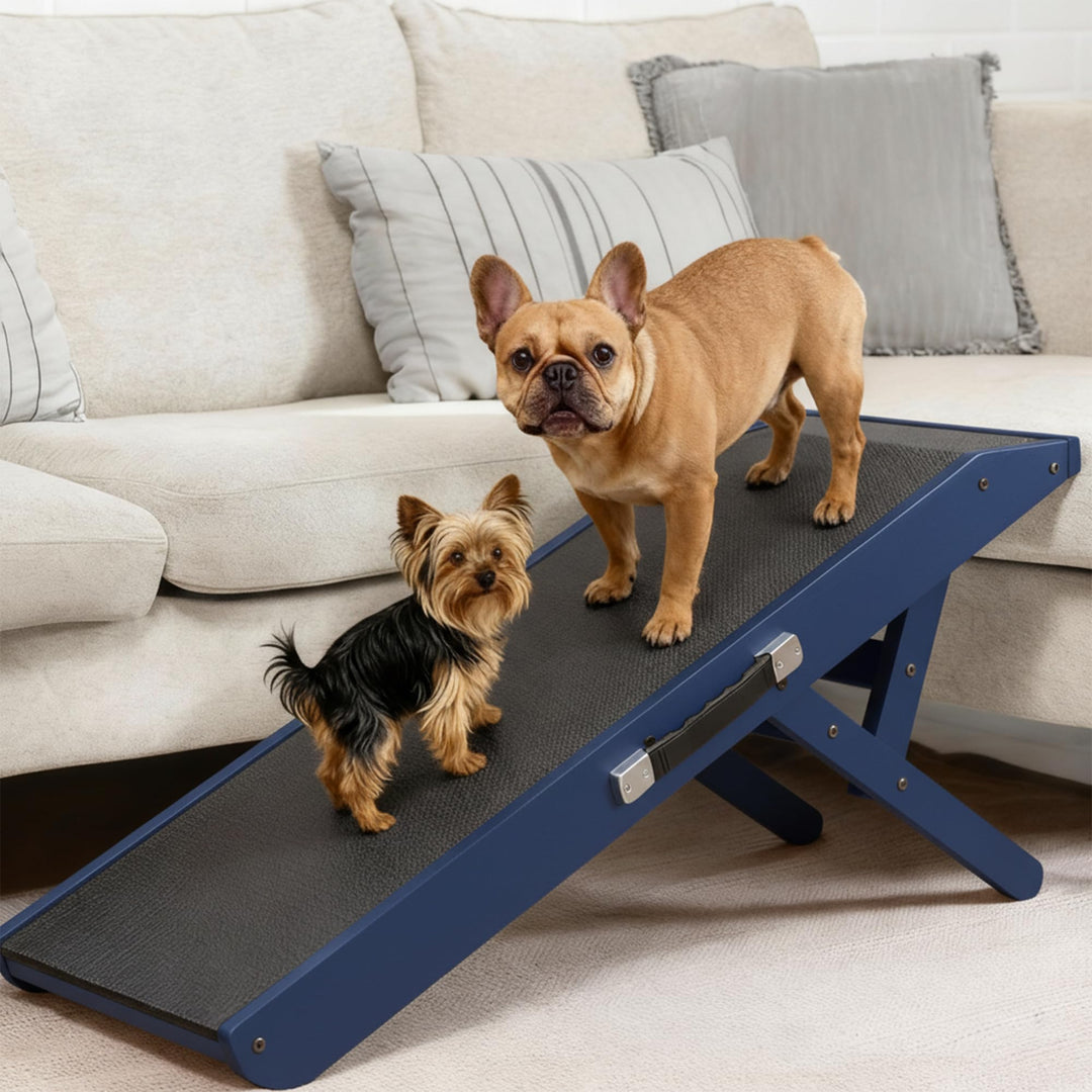 Hunderampe - Hundetreppe für kleine Hunde und grosse Hunde - Für Bett und Sofa - Birkenholz - 5 Edle