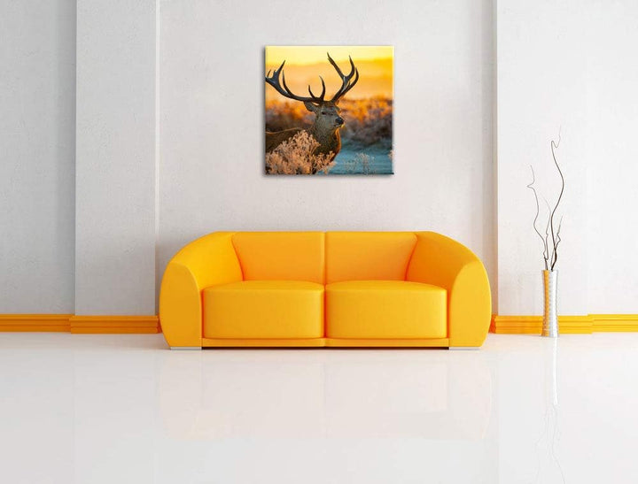 Stolzer Hirsch auf Wiese, Format: 70x70 auf Leinwand, XXL riesige Bilder fertig gerahmt mit Keilrahm