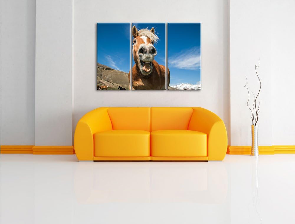 Pixxprint Lustiges Pferd in der Natur als Leinwandbild - Grösse: 3-Teilig (120x80cm) - Wandbild - Ku