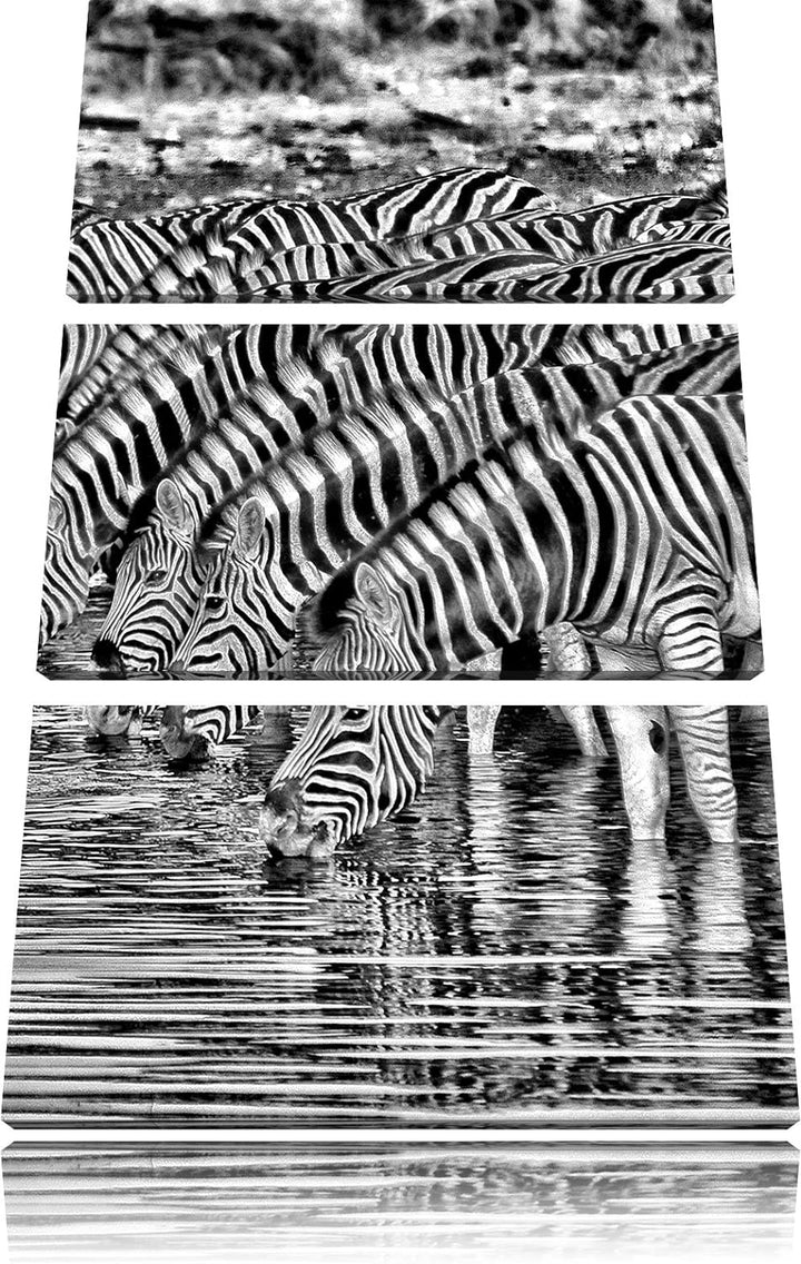 Pixxprint Monocrome, Safari mit Zebras in Afrika 3-Teiler Leinwandbild 120x80 Bild auf Leinwand
