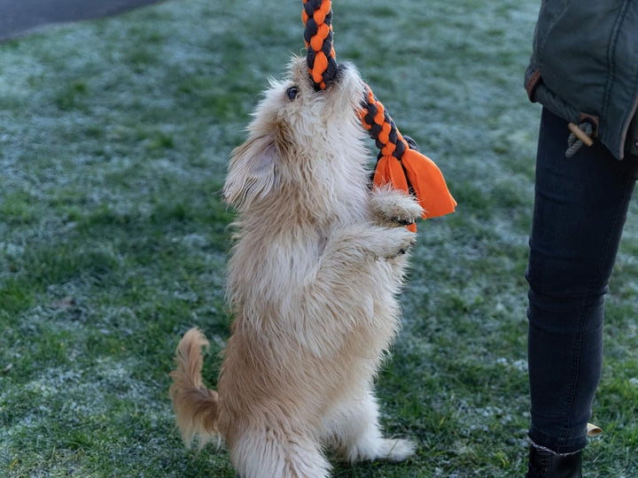 TrendPet Zergel, Zerrspielzeug, Spielzeug für Hunde (4,0x40cm), 4,0x40cm