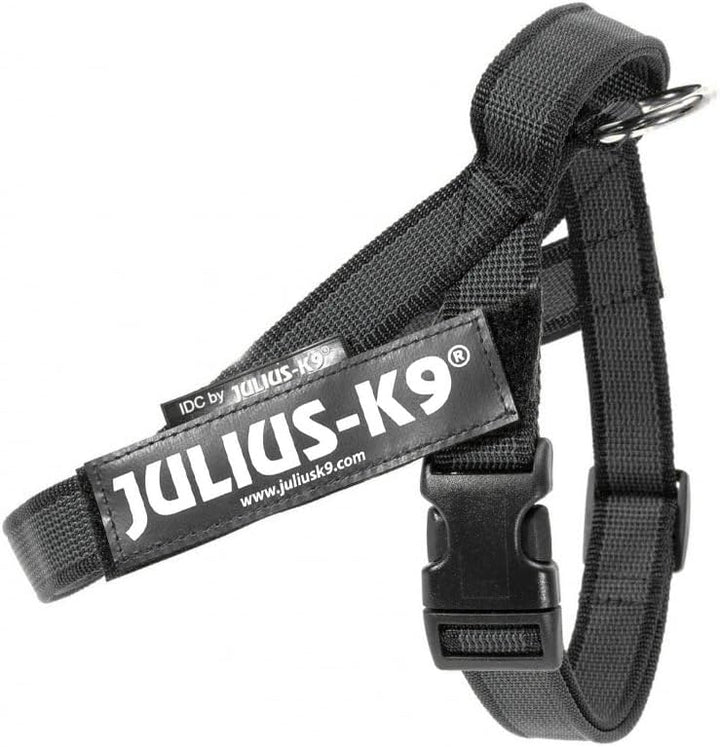 Julius-K9, Color & Gray, Beltgeschirr S / Mini schwarz-grau, S / Mini schwarz-grau