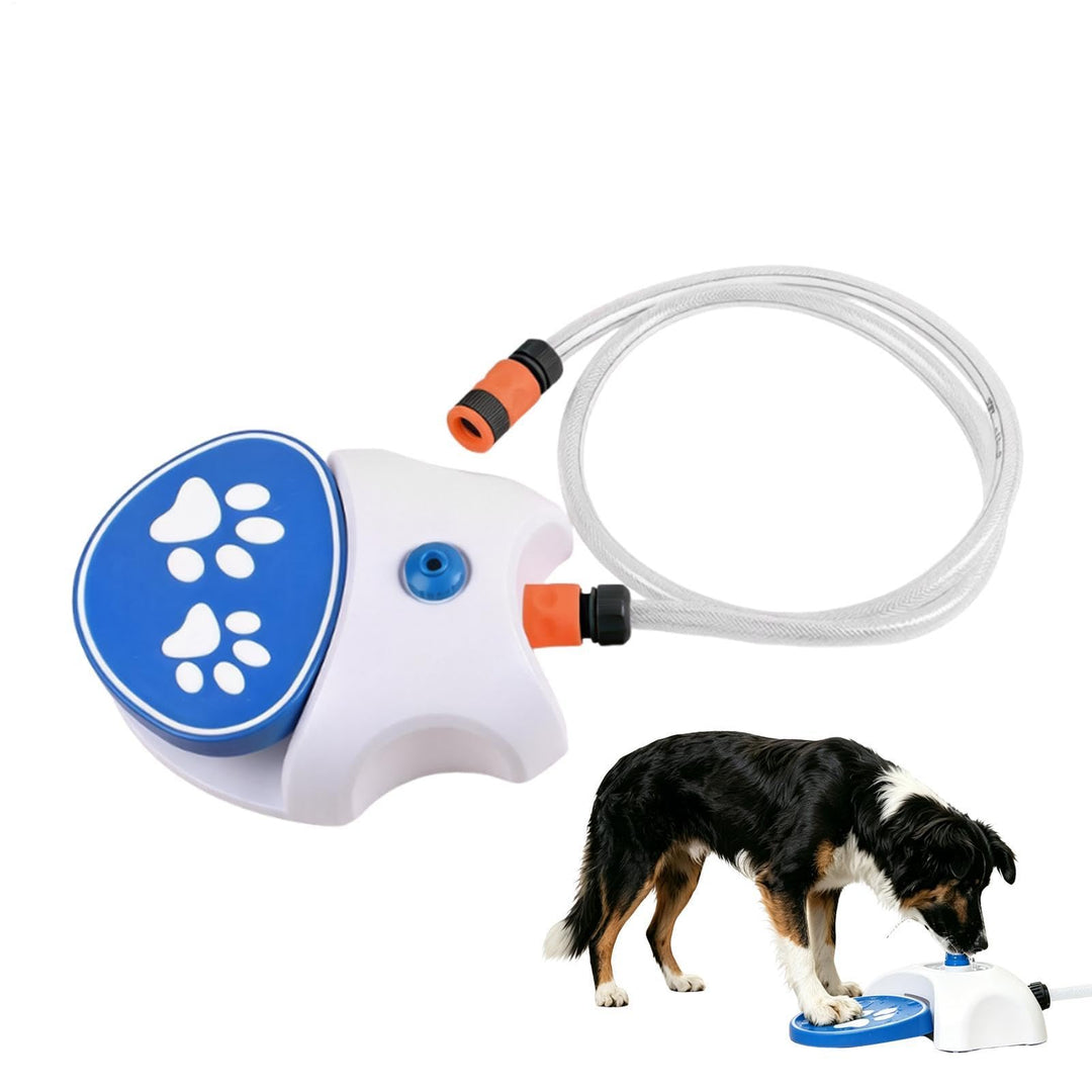 Wasserfontäne Hund, Wasserspiel Mit 162cm Schlauch, Interaktives Spielzeug