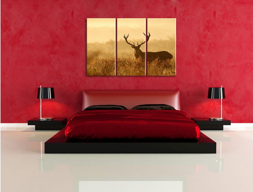 Pixxprint Rotwild Hirsch in Abenddämmerung 3-Teiler Leinwandbild 120x80 Bild auf Leinwand