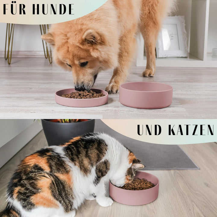 ne&amp;no® Silikon Hundenapf 1200 ml mit Deckel für kleine und mittelgrosse Hunde | im Kühlschrank luftd