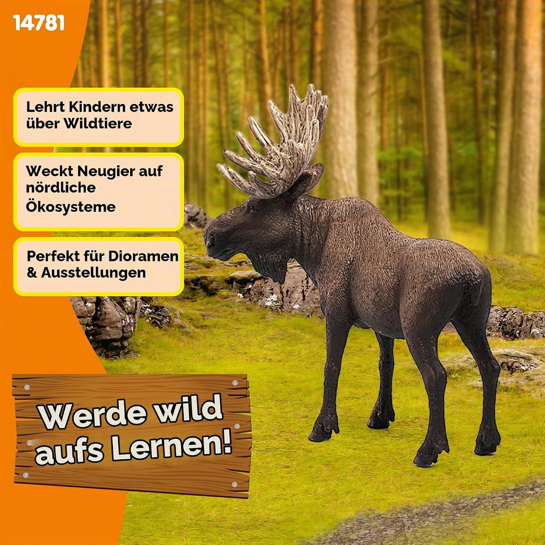 SCHLEICH 14781 Elch Bulle, für Kinder ab 3+ Jahren, WILD Life - Spielfigur alte Version, alte Versio