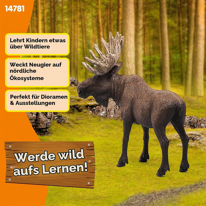 SCHLEICH 14781 Elch Bulle, für Kinder ab 3+ Jahren, WILD Life - Spielfigur alte Version, alte Versio