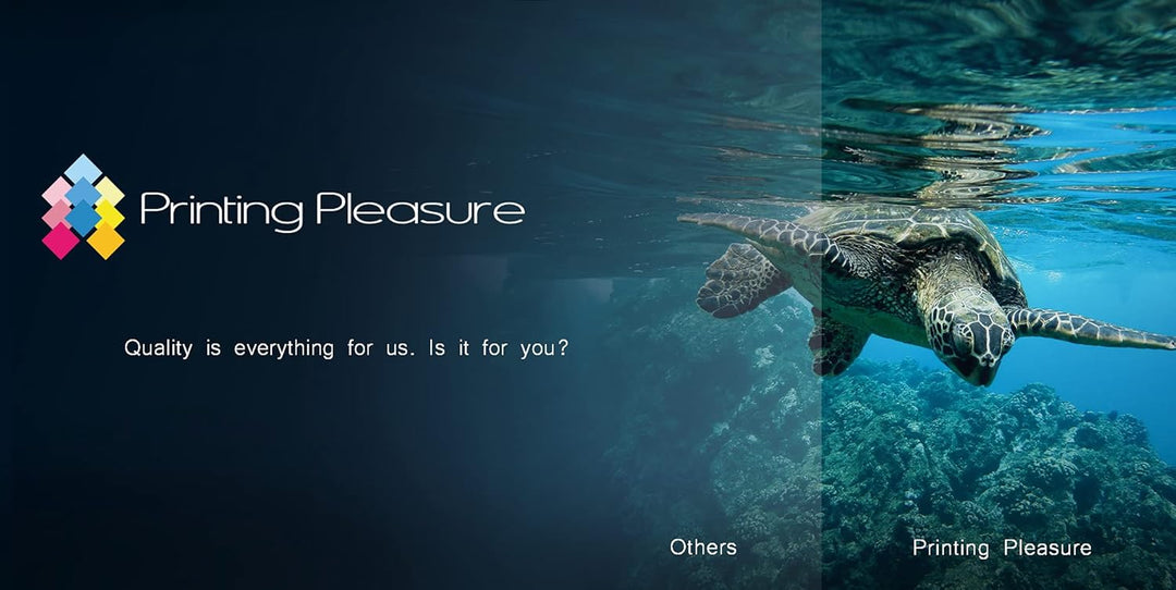 Printing Pleasure 10 x 11356 Rollen Etiketten kompatibel für Dymo LabelWriter & Seiko Etikettendruck