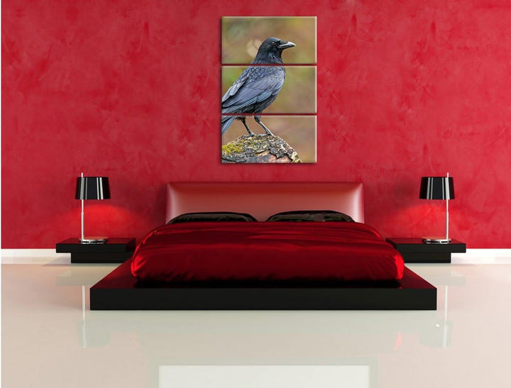 Pixxprint Krähe auf Baumstamm 3-Teiler Leinwandbild 120x80 Bild auf Leinwand