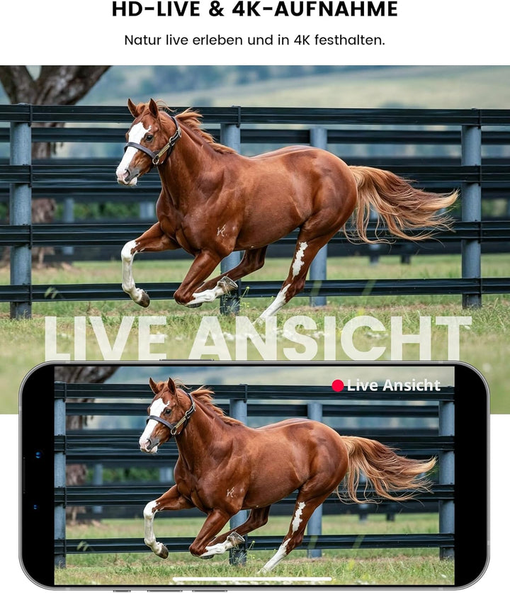 Misstech 4G LTE Wildkamera mit SIM Karte & 5W Solarpanel – 4K Video & 64MP, unsichtbare 940nm Nachts
