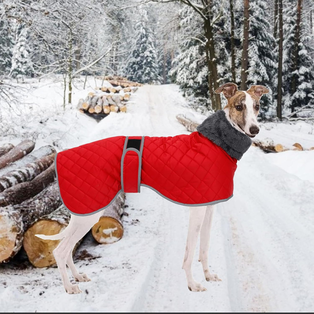 Geyecete Winter Hundemantel fur Windhunde,Warm Hundejacke mit Fleecefutter,wasserdicht,Winddicht,Ver