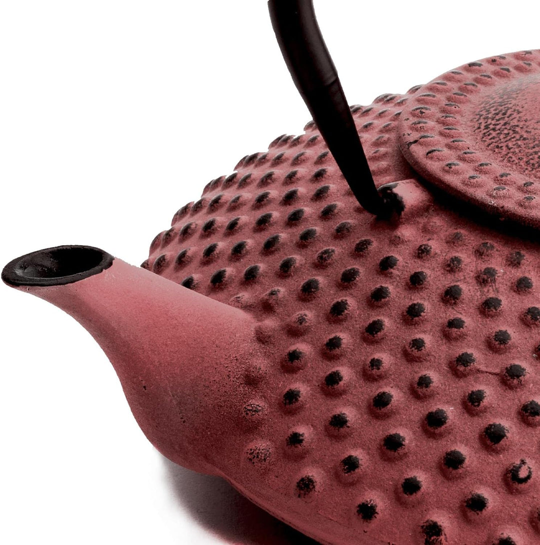 kleine rote Asia Teekanne Gusseisen Set 0.8 Liter Teekessel mit Henkel & Edelstahl Tee-Filter-Sieb-E