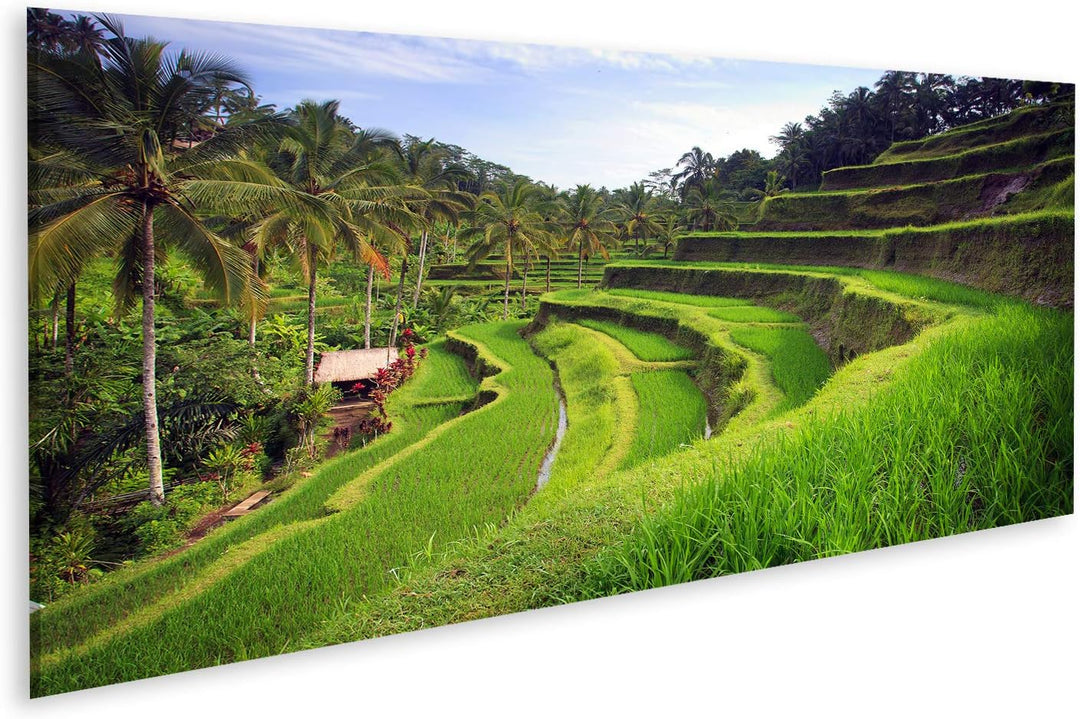 Bild auf Leinwand Terrasse Reisfelder In Tegallalang Ubud Auf Bali Indonesien Wandbild Poster Kunstd