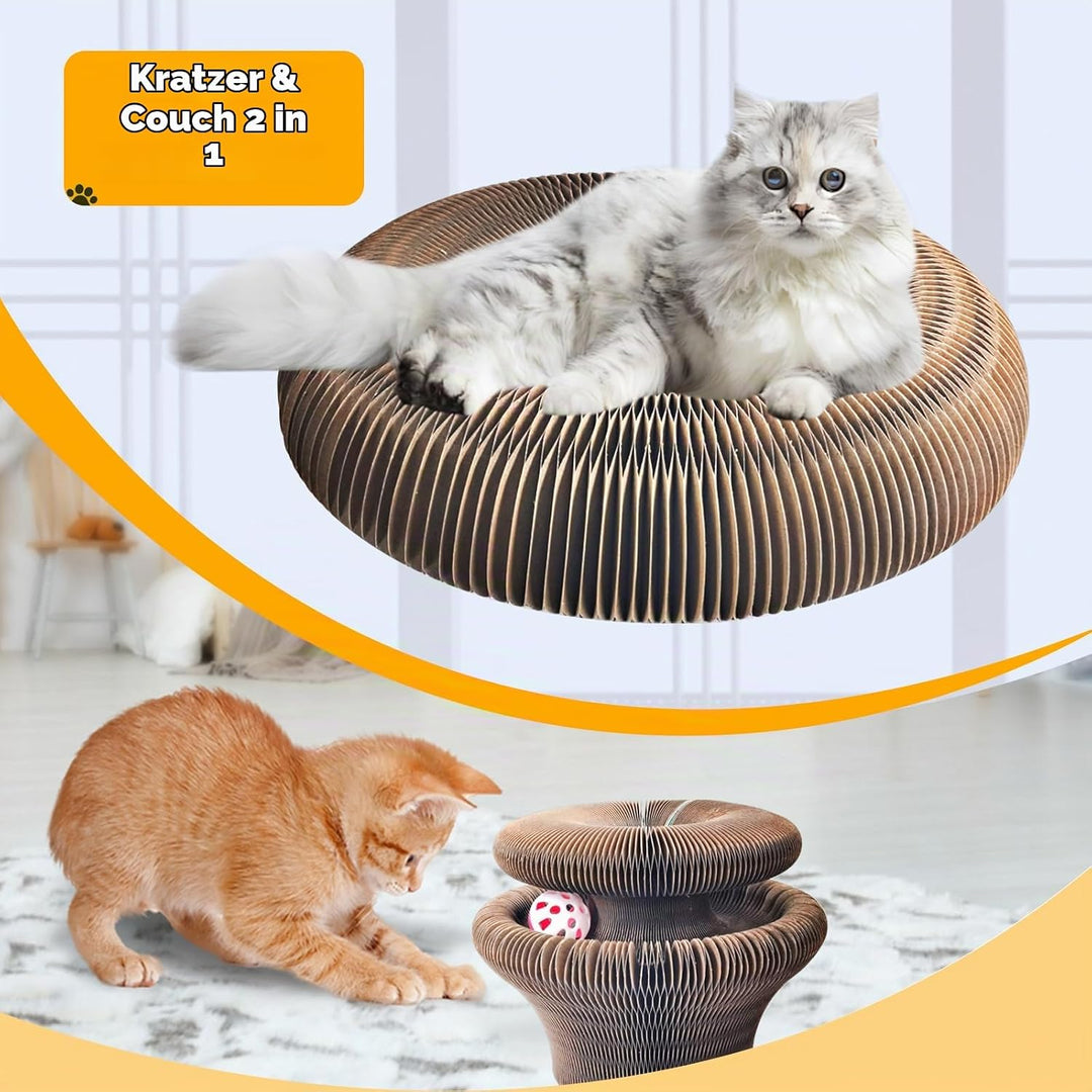 Magic Organ Cat Scratching Board 36cm lang, Katzenspielzeug Selbstbeschäftigung aus Pappe mit Glocke