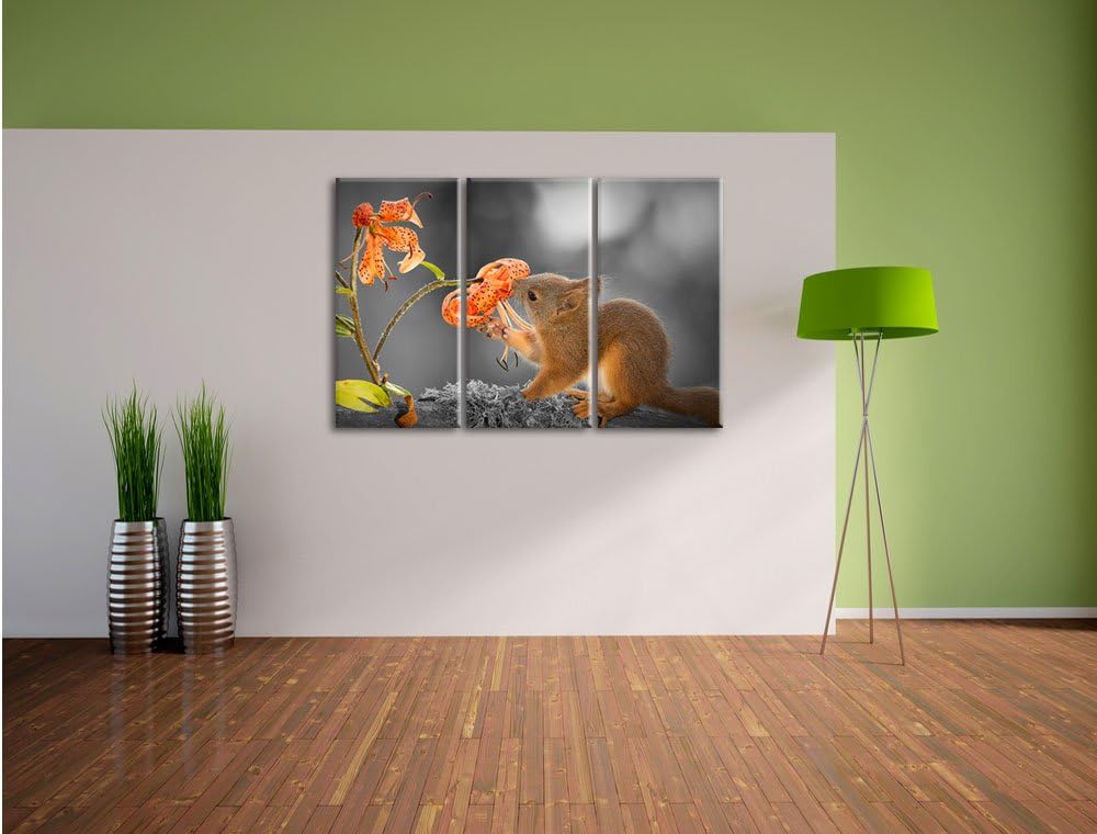 Pixxprint Eichhörnchen riecht an Einer Blume als Leinwandbild/Grösse: 3 Teilig (120x80 cm) cm/Wandbi