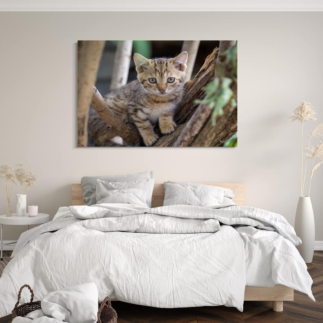 Printed Paintings Leinwand (80x60cm): Katzenbaby draussen auf Baum Katzenbilder 80x60 cm, 80x60 cm