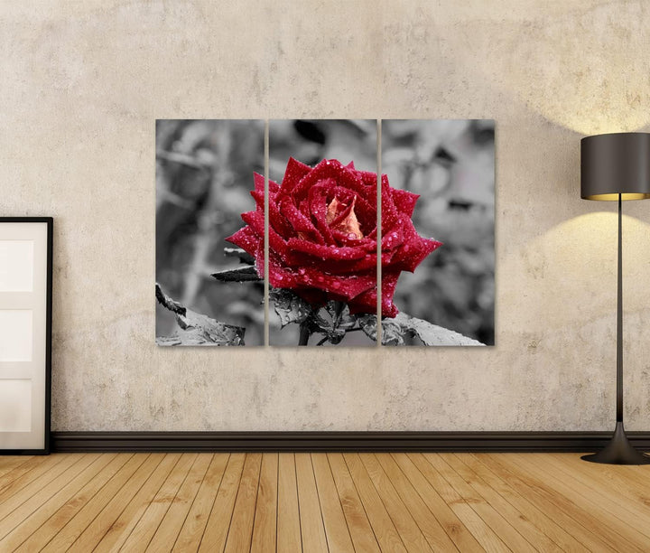 islandburner Bild auf Leinwand Rote Rose Mit Wassertropfen Auf Grauem Hintergrund Bilder Wandbilder