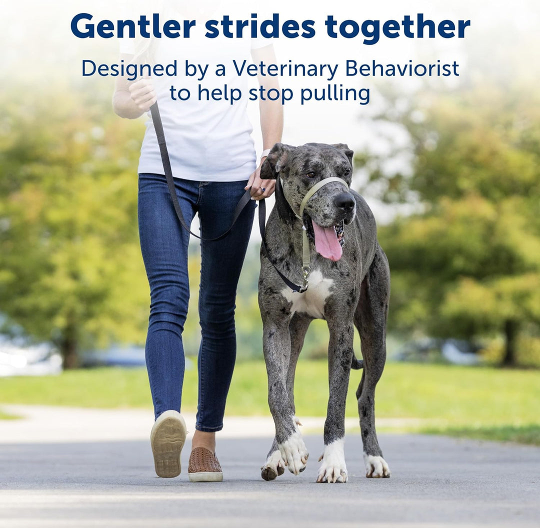 PetSafe Sanfter Führer Halsband mit Trainings-DVD Himbeerrosa Small Up to 25 Lb., Himbeerrosa Small