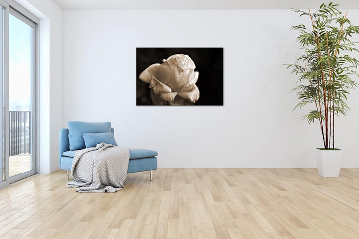 Vergänglichkeit der Natur Effekt: Sepia, Format: 80x60 als Leinwandbild, Motiv fertig gerahmt auf Ec
