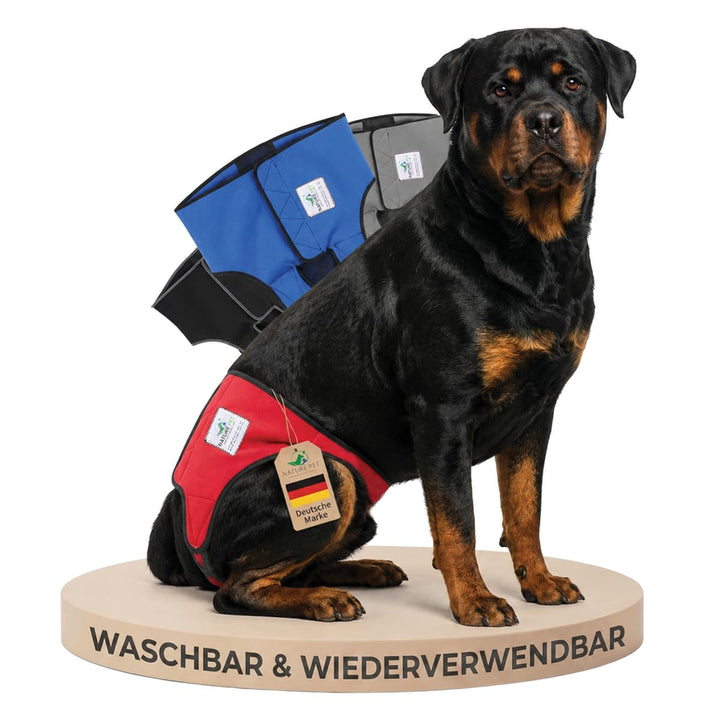 Läufigkeitshose für Hündinnen 2.0 - Hundewindeln aus hochwertigem perforiertem Neopren für einen opt