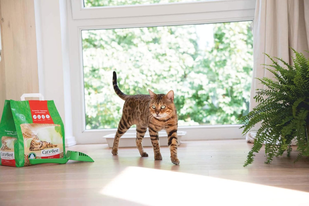 Ajm Pet Katzenstreu, Klumpstreu, 13 kg