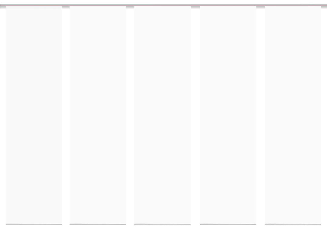 wohnfuehlidee 5er-Set Flächenvorhänge Deko Blickdicht Roma 5X Uni Weiss