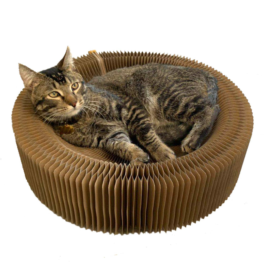Kratzbett für Katzen, zusammenklappbar, runde Form für grosse Katzen