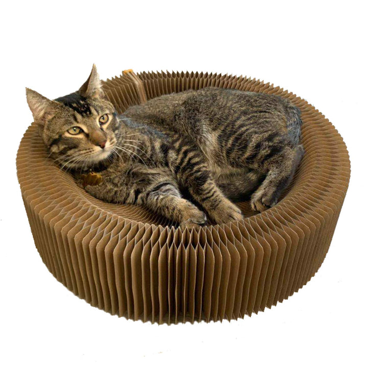 Kratzbett für Katzen, zusammenklappbar, runde Form für grosse Katzen