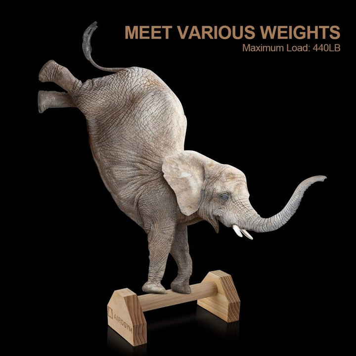 airogym Liegestütz-Ständer, 2 Stück, Holz-Pushup-Stangen, rutschfeste Basis, Trainingsgerät, 30,5 cm