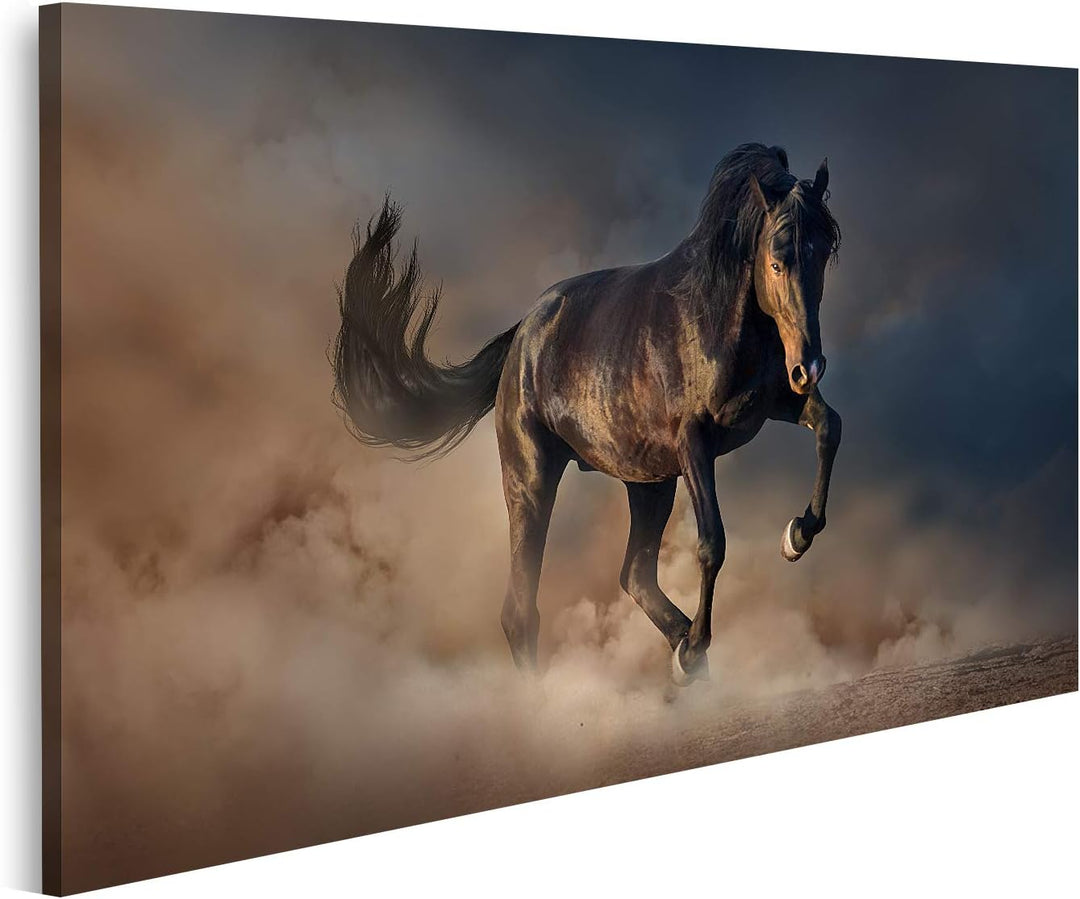 islandburner Bild auf Leinwand Schwarzer Hengst Pferd Bilder Wandbilder Poster, Leinwand 80x40cm