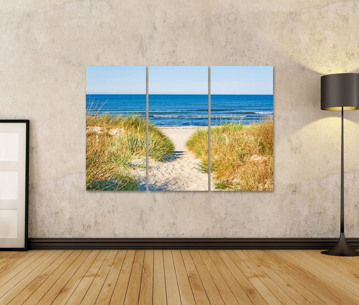 islandburner Bild auf Leinwand Weg Zum Strand An Ostsee Mit Strandhafer Bilder Wandbilder Poster Lei
