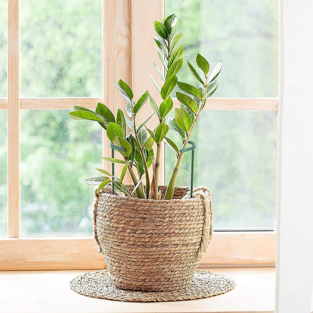 16 Stück Pflanzenstütze für Garten, Rankhilfe Zimmerpflanzen, Blumenstütze, mit Pflanzenbinder, Frei