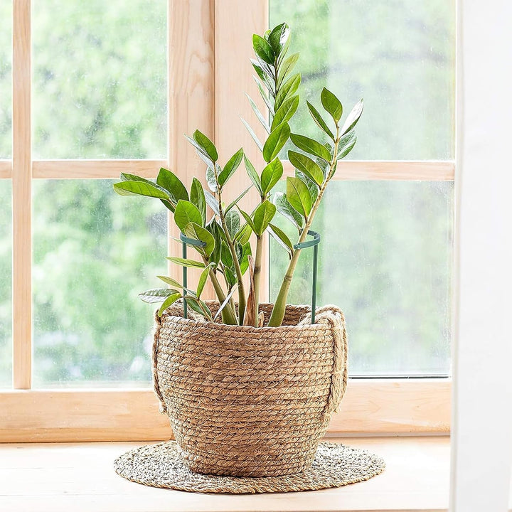 16 Stück Pflanzenstütze für Garten, Rankhilfe Zimmerpflanzen, Blumenstütze, mit Pflanzenbinder, Frei