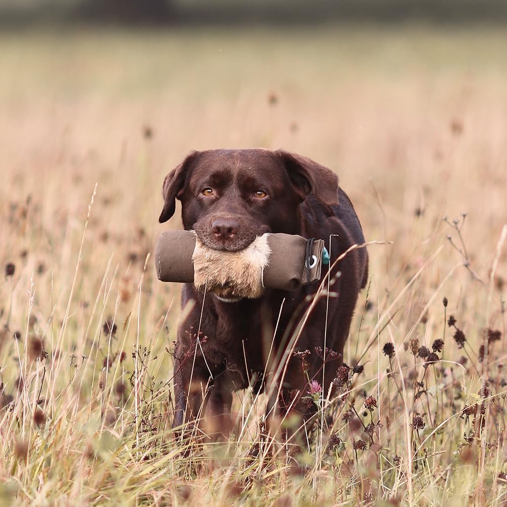 Firedog Dummy mit echtem Kaninchenfell - Robustes Wild-Dummy Apportel für das Hundetraining (Gewicht