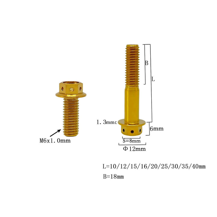 RISON Titanium Bolzen M6x1.0x10mm Titan Flansch Schrauben TC4 Titan Schrauben Sechskantschraube gold