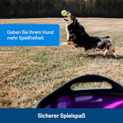 PetSafe Automatisches Hundespielzeug, interaktiver Tennisballwerfer für Hunde, wasserdicht, 1 Stück