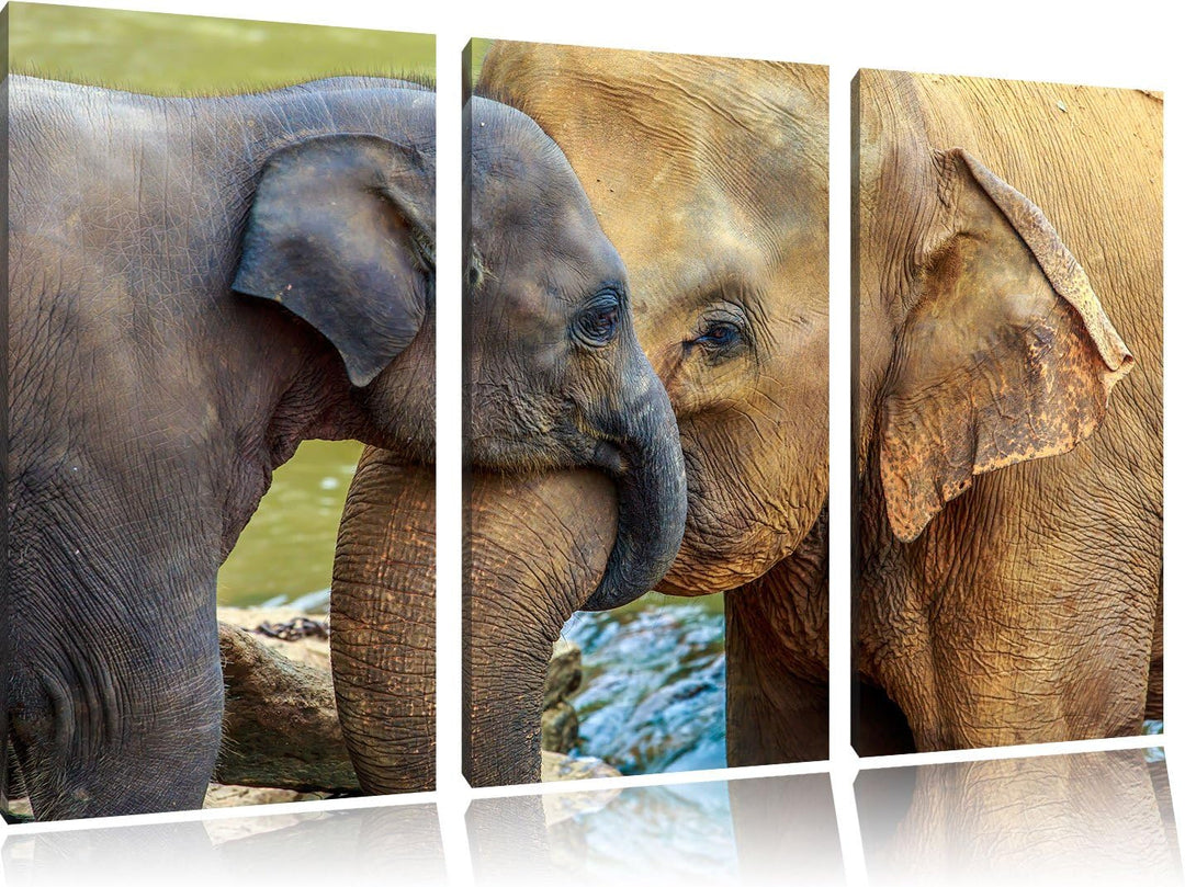 Pixxprint Elefantenmutter mit Kalb als Leinwandbild/Grösse: 3 Teilig (120x80) / Wandbild/Kunstdruck/