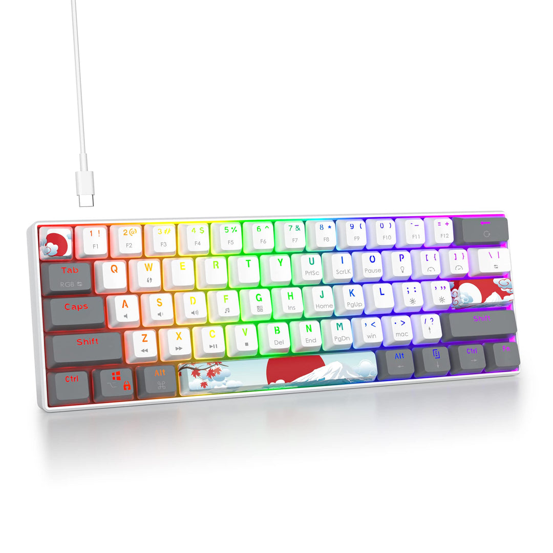 SOLIDEE Tragbare 60% mechanische Gaming-Tastatur,61 Tasten kompakte RGB LED-Hintergrundbeleuchtung,k