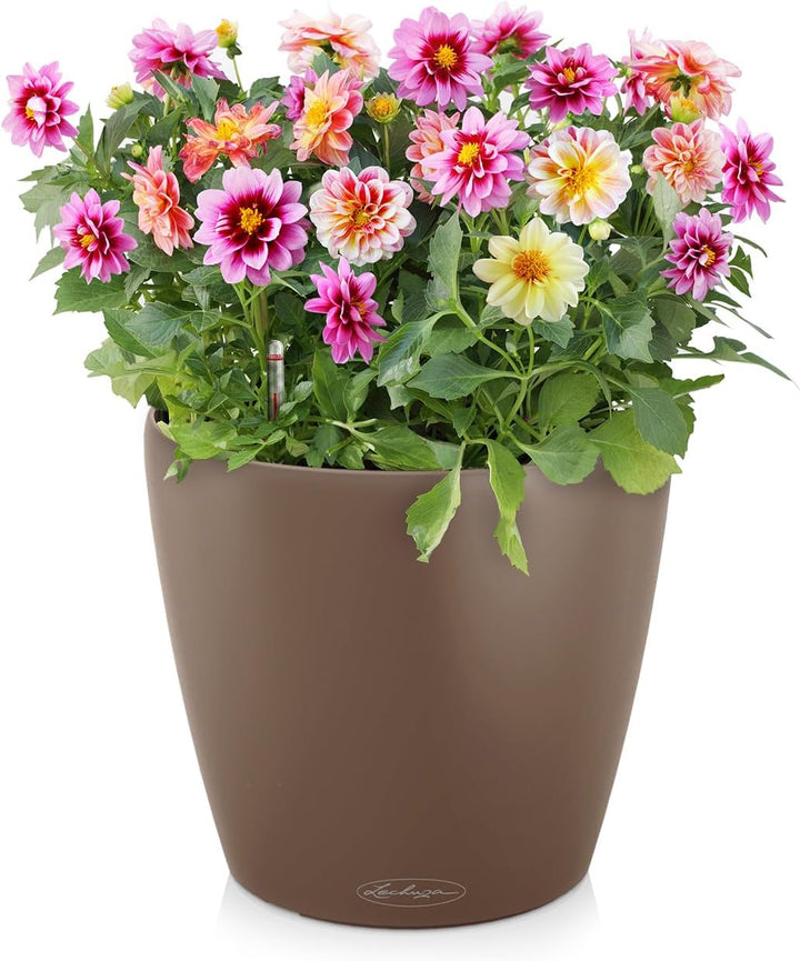 Lechuza 13203 Planter, Muskat, 28.5 x 28.5 x 26 cm 28.5x28.5x26 cm Muskat, 28.5x28.5x26 cm Muskat