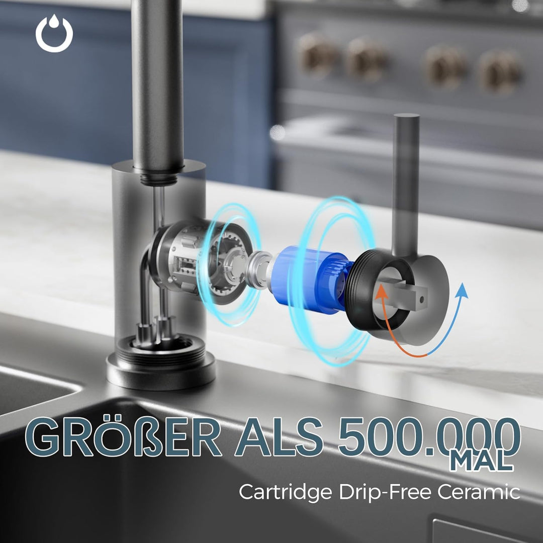 FORIOUS Wasserhahn Küche Schwarz, Küchenarmatur mit 360°Drehbar Armatur Küche Edelstahl, Mischbatter