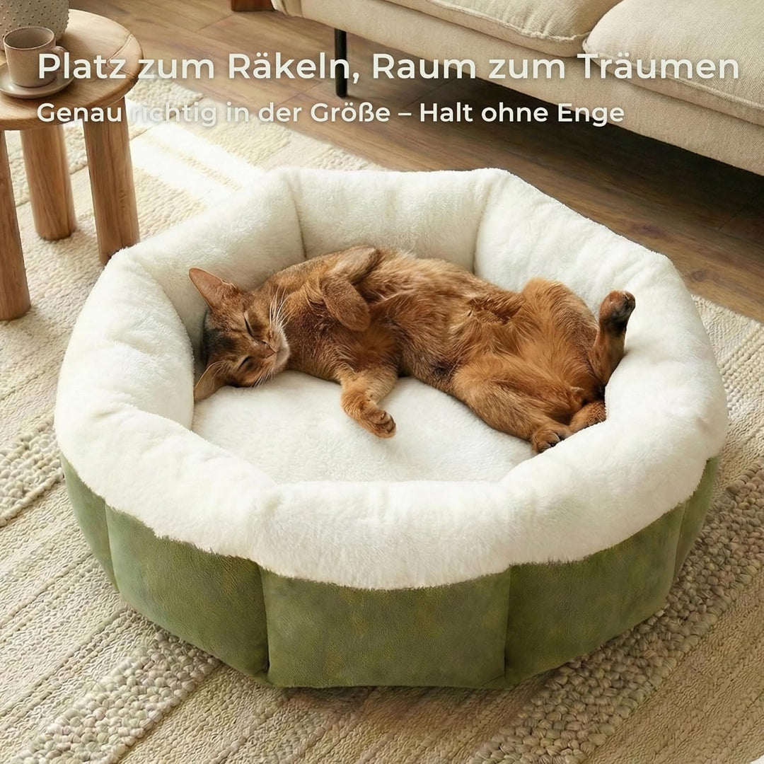 Katzenbett 55×55×20cm Flauschiges Katzenbett &amp; Hundebett für kleine Hunde, waschbares Haustierbett m