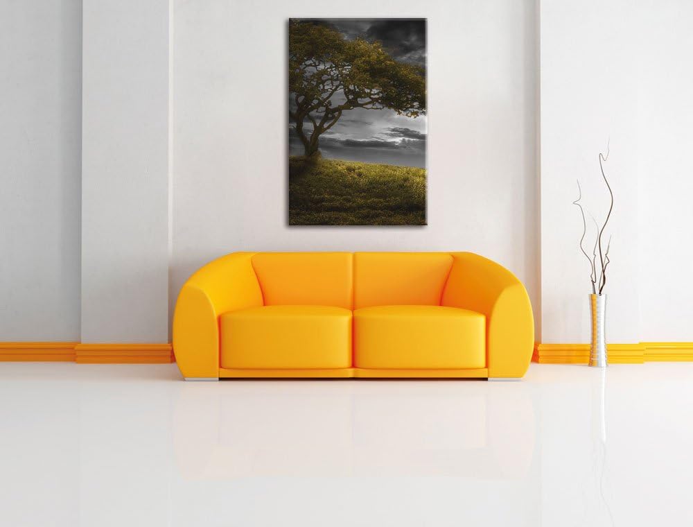 Pixxprint Alleinstehender Baum schwarz/weiss als Leinwandbild/Grösse: 100x70 cm/Wandbild/Kunstdruck/