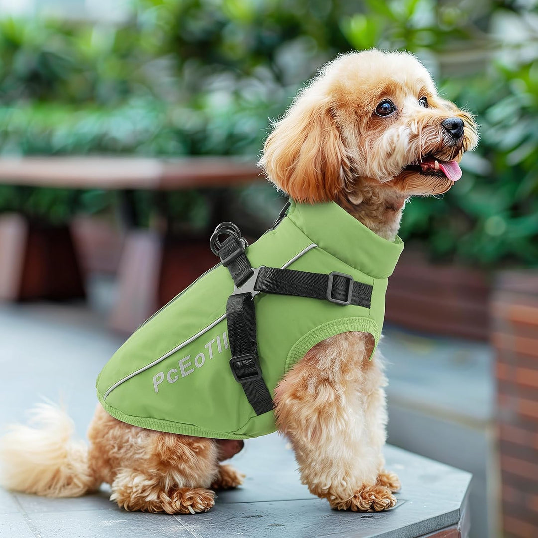 PcEoTllar Wasserdichter Hundemantel für kleine Hunde, warme reflektierende Jacke mit Geschirr für de